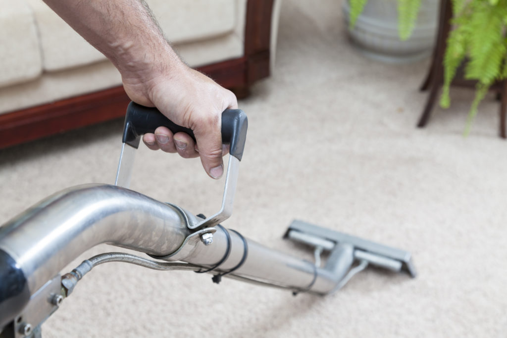 How Often Should You Have Your Carpets Cleaned? A 360 Cleaning